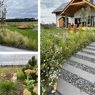 BOĆ ZIELONA PRACOWNIA